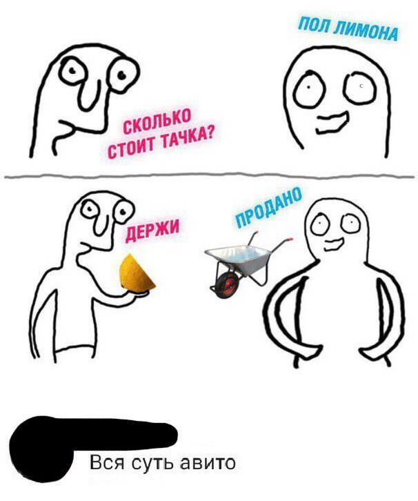 11468228.jpg