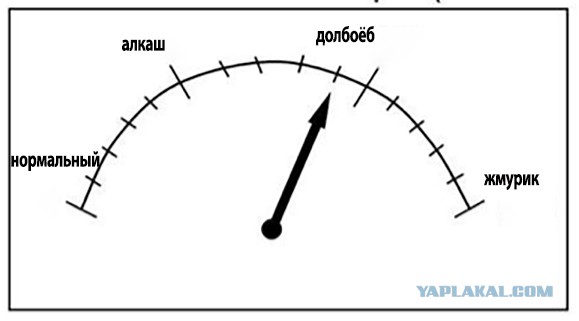 Грибной сомелье