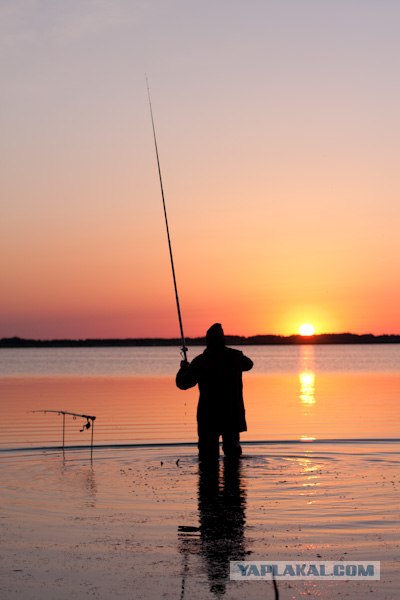 Утро на рыбалке.