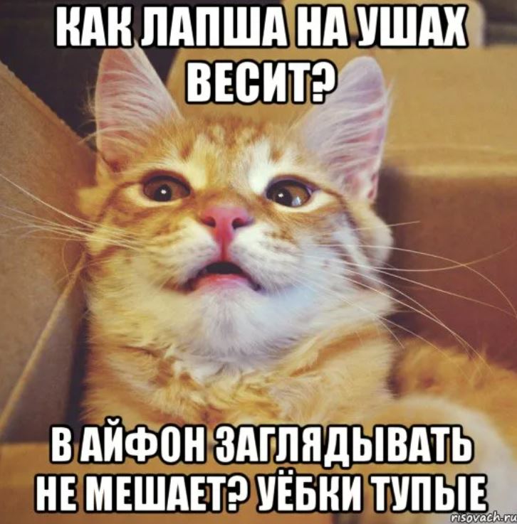 Сука Блять Буду Я Тебя Ебать