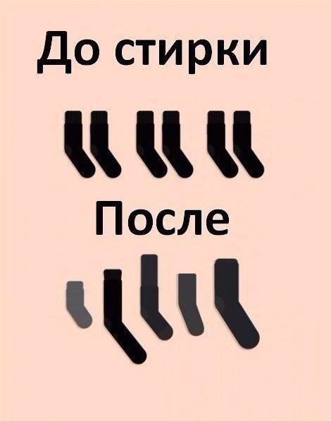 10096728.jpg