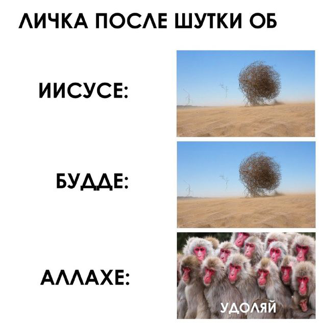 Чудеса рядом