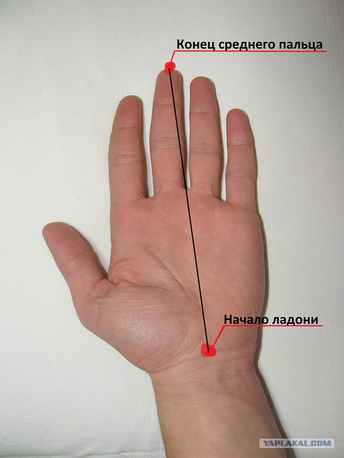 Азиатская жена обхватывает болт мужа пальцами с красными ногтями и сосет фаллос