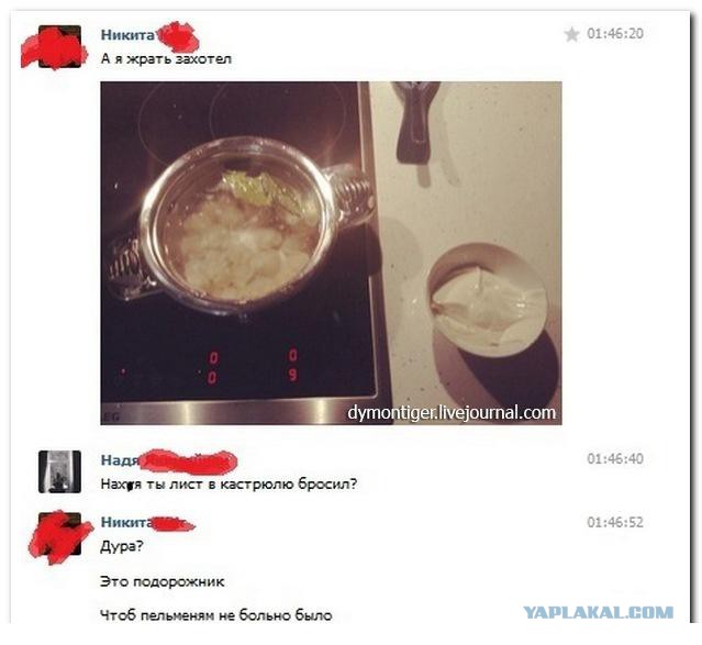4959238.jpg