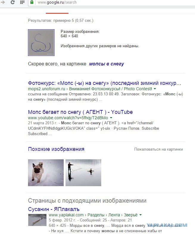 крючок в жопе
