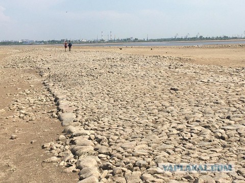 После обмеления Волги под Казанью нашли древнюю мостовую