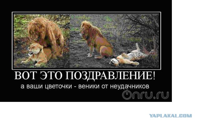 Вот это поздравление демотиваторы Вот это поздравление демотиваторы