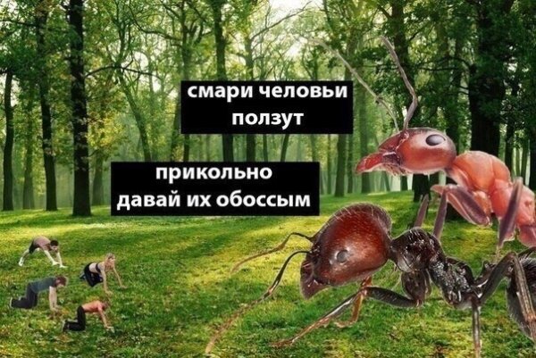 Нестандартный юмор