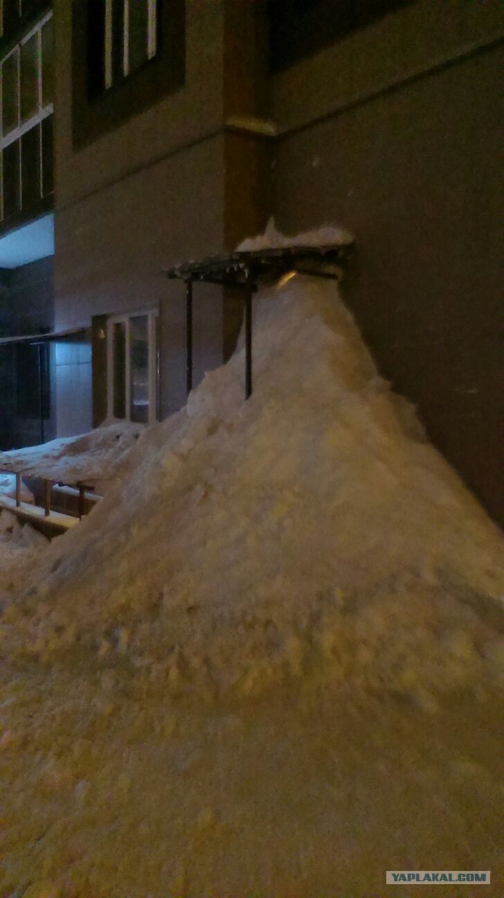 Фото: yaplakal.com