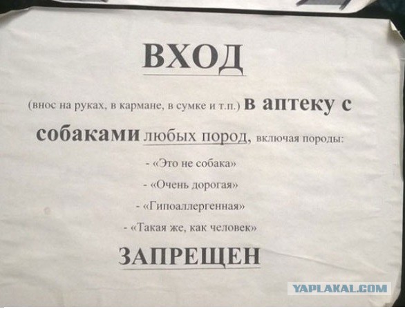 8398248.jpg