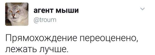 Не очень адекватный юмор