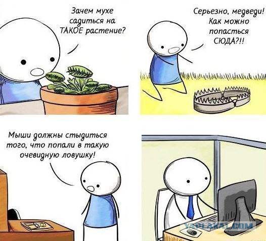 4756348.jpg