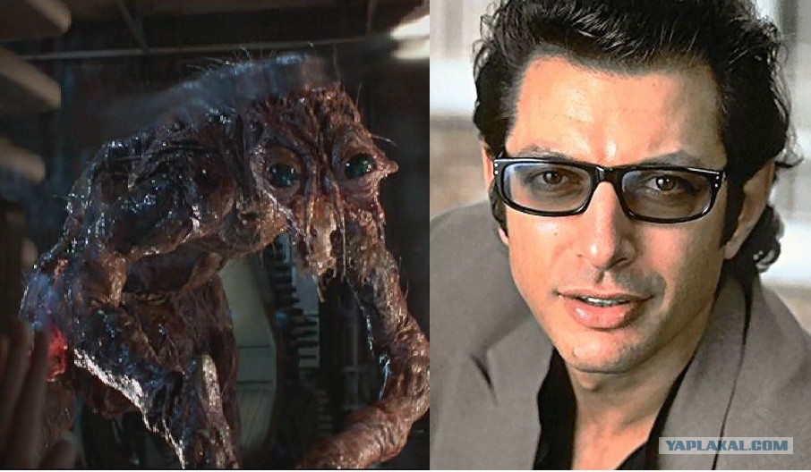 Jeff Goldblum Jurassic Park Outfit