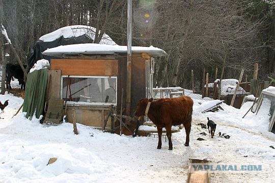 Автопрогулка в горы