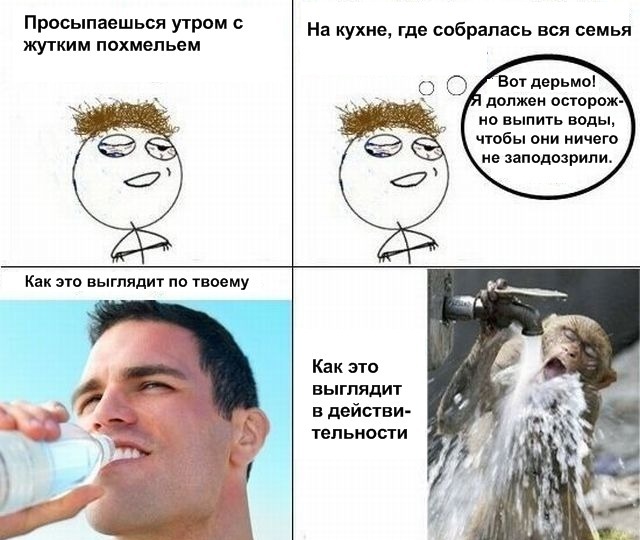 Открытки На Похмелье Открытки На Похмелье