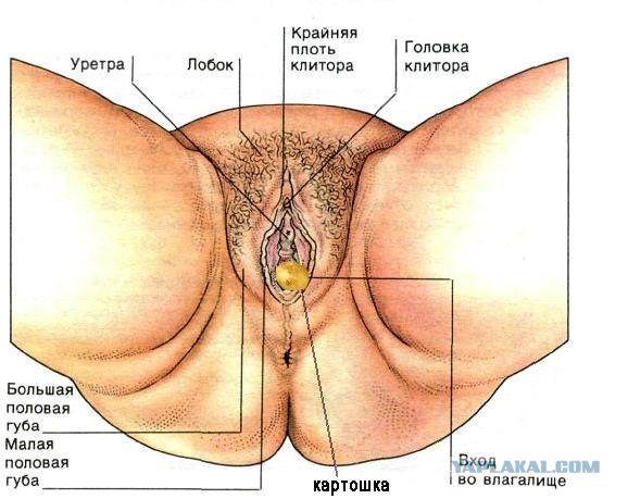 Как снять сильную боль в мышцах ног