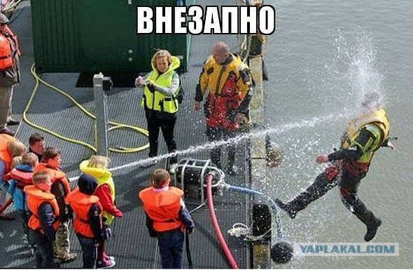 3610848.jpg