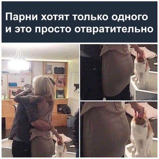 Прикольные картинки абавсём