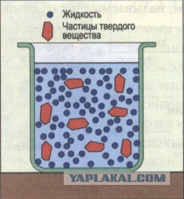 Игра в слова с фотографиями