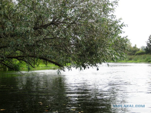 Сплав по реке Оскол