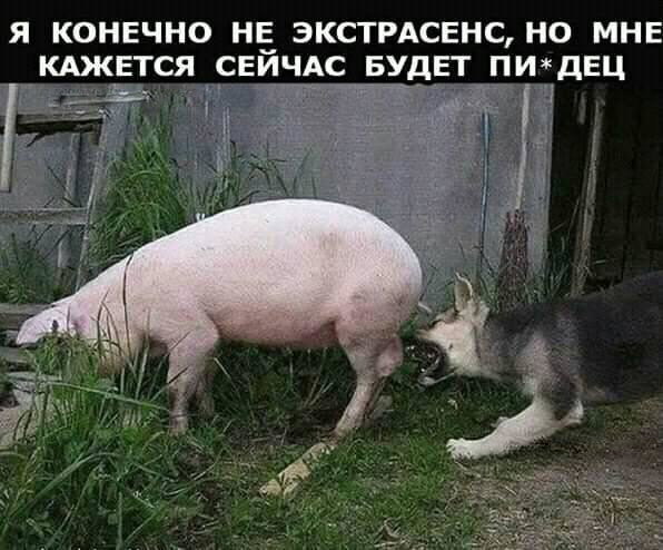 http://s00.yaplakal.com/pics/pics_original/8/5/3/13087358.jpg