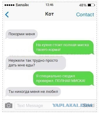 Если бы коты писали смс 2