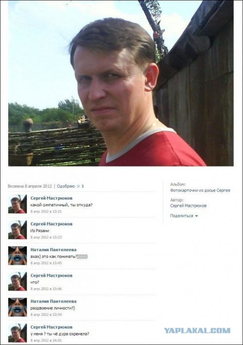 3285658.jpg
