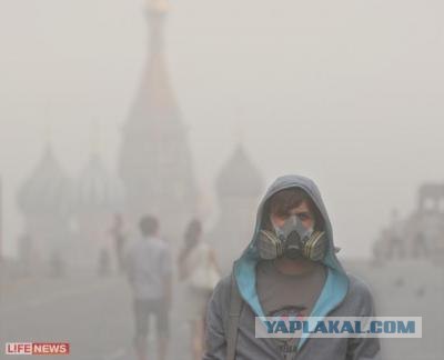 В Москве установлен рекорд смертности