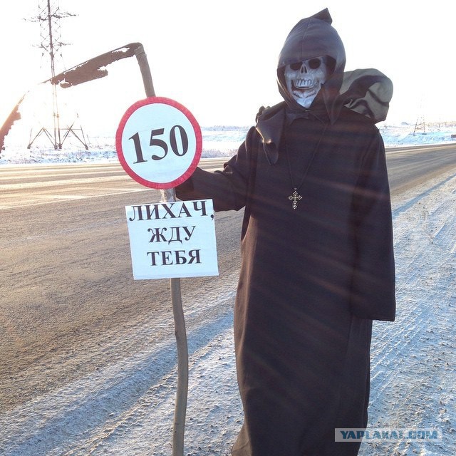 На дорогах в Мурманской области водители видят это