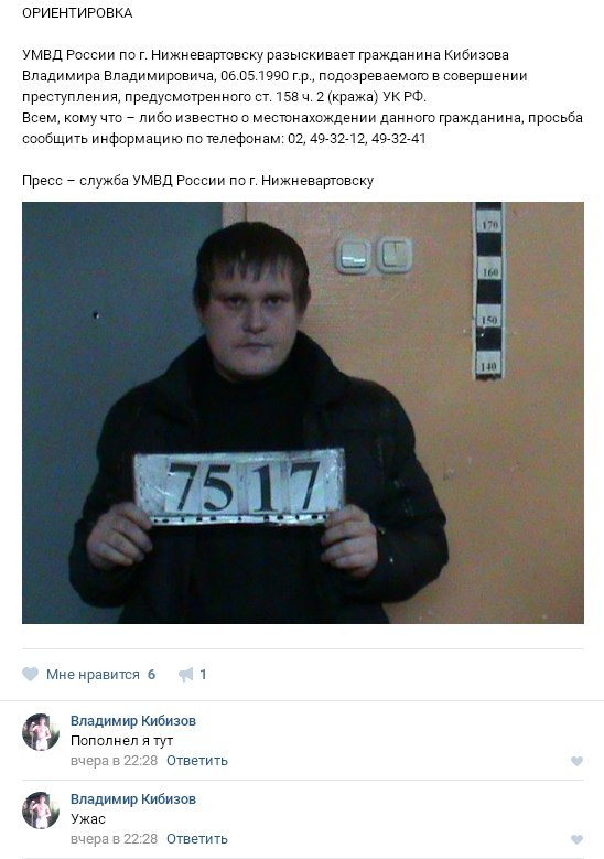 8600958.jpg