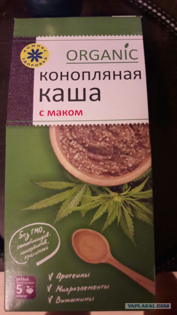 Новозеландку не пустили в Казахстан: Пограничники не знали о такой стране