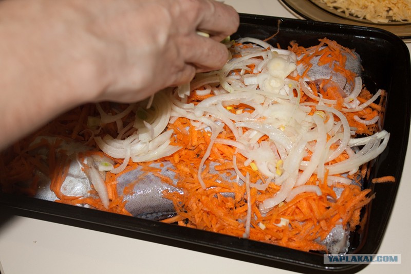 рецепты с морковью в духовке