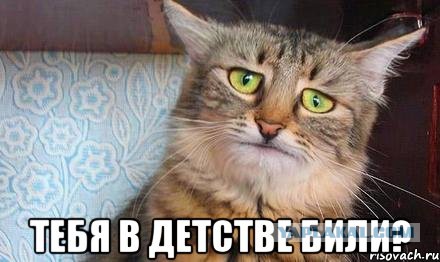 Цитата про беременных женщин Цитата про беременных женщин