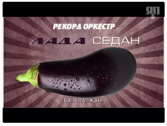 1813368.jpg