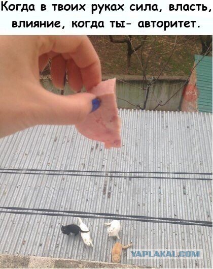 5041468.jpg