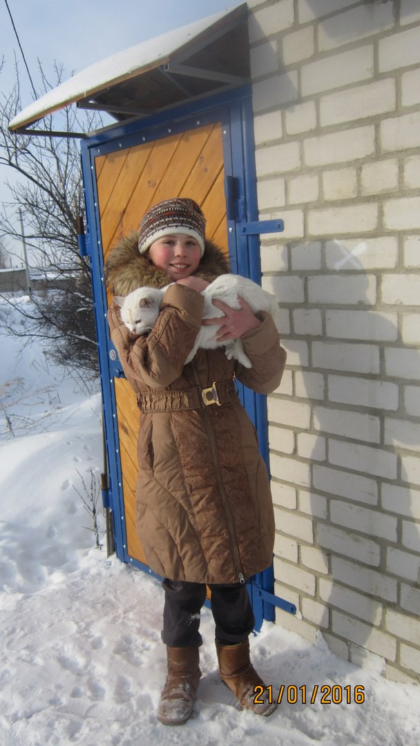 Под Воронежем 10-летняя школьница организовала приют для бездомных животных