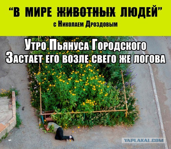 3980668.jpg