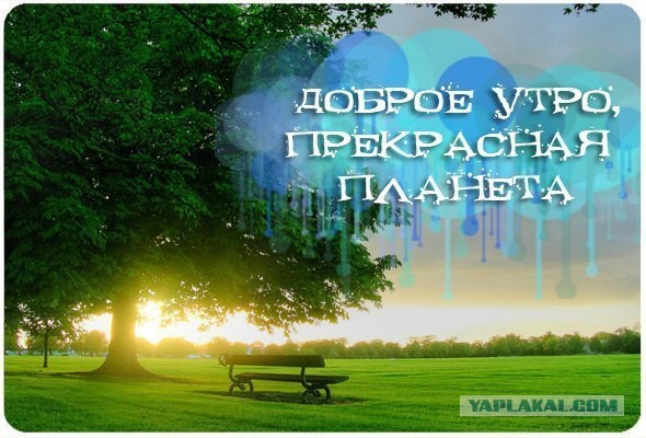 http://s00.yaplakal.com/pics/pics_original/8/6/8/3762868.jpg
