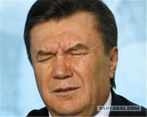 Единороссы предложили выгнать Януковича из России