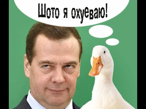 Дмитрий Медведев про правдивых чиновников: ''Мозги надо включать!''