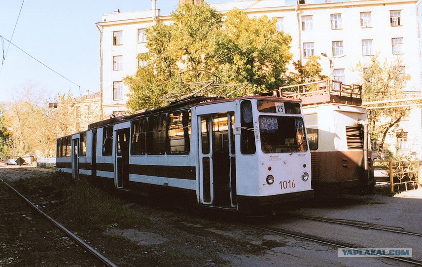 171968.jpg