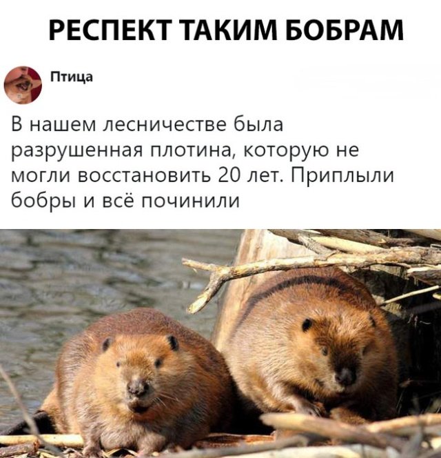 Прикольные картинки абавсём