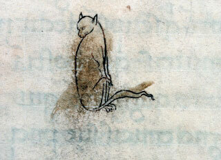 Кошки средневековья и эпохи Возрождения