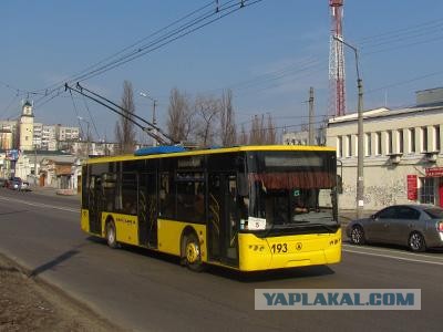 Самые популярные автомобили в мире