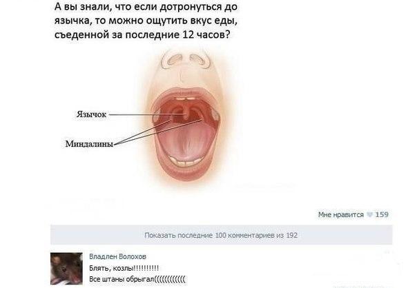 Почему больно до сосков дотрагиваться до Почему больно до сосков дотрагиваться до