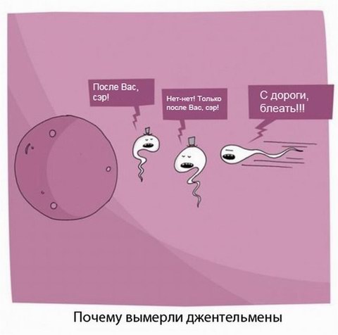 10077778.jpg