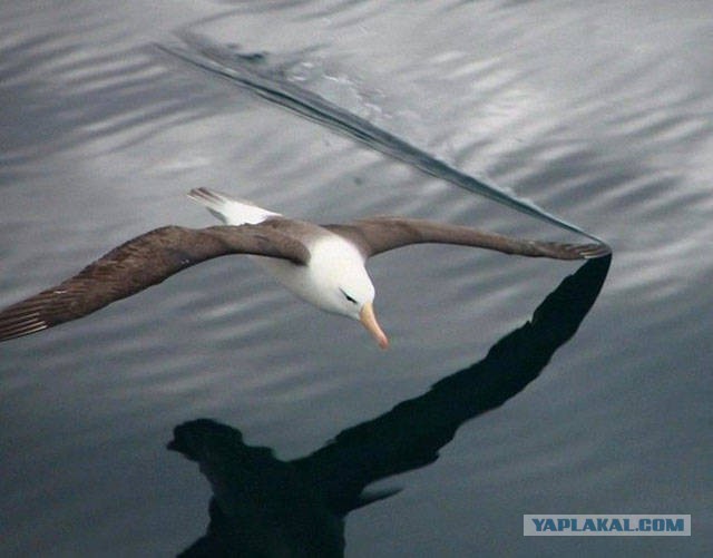 Подборка фотографий со всего света