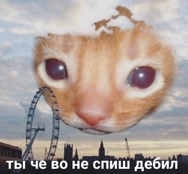 Нестандартный юмор