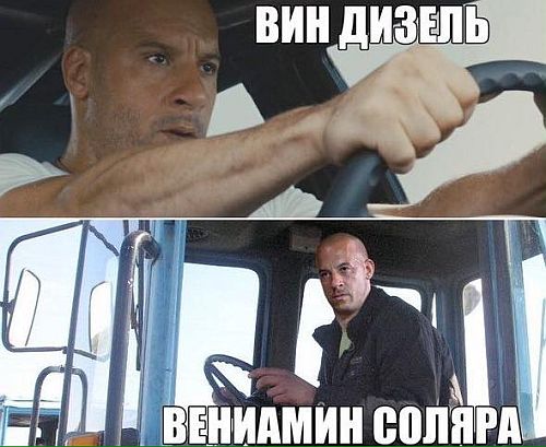 7451978.jpg