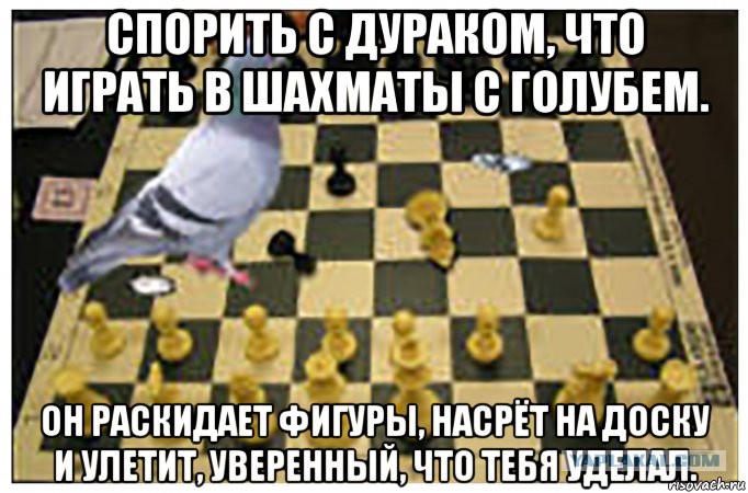 Анекдот про голубя и шахматы Анекдот про голубя и шахматы